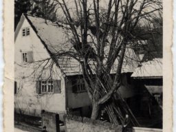 wohnhaus ludwigs- haas